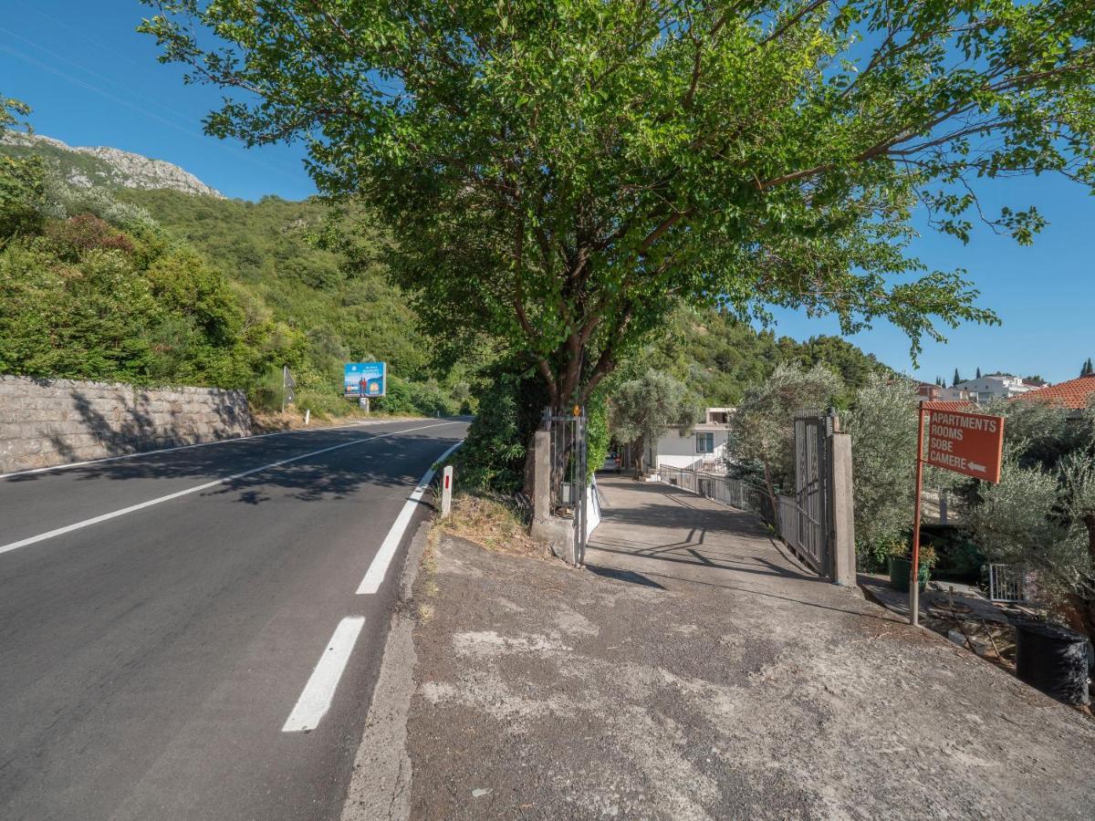 Apartman Tomy Garden House Budva